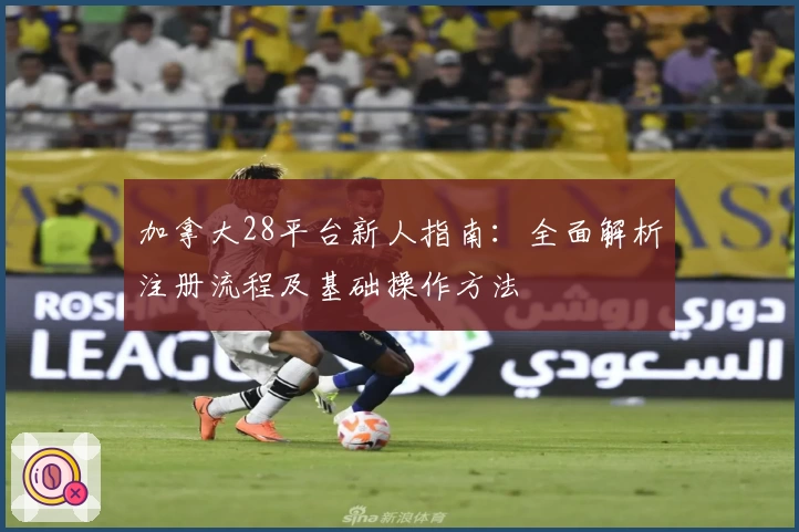 加拿大28平台新人指南：全面解析注册流程及基础操作方法