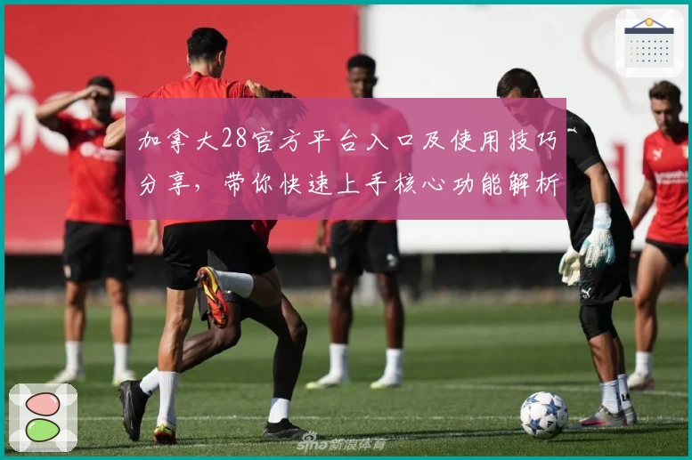 加拿大28官方平台入口及使用技巧分享,带你快速上手核心功能解析
